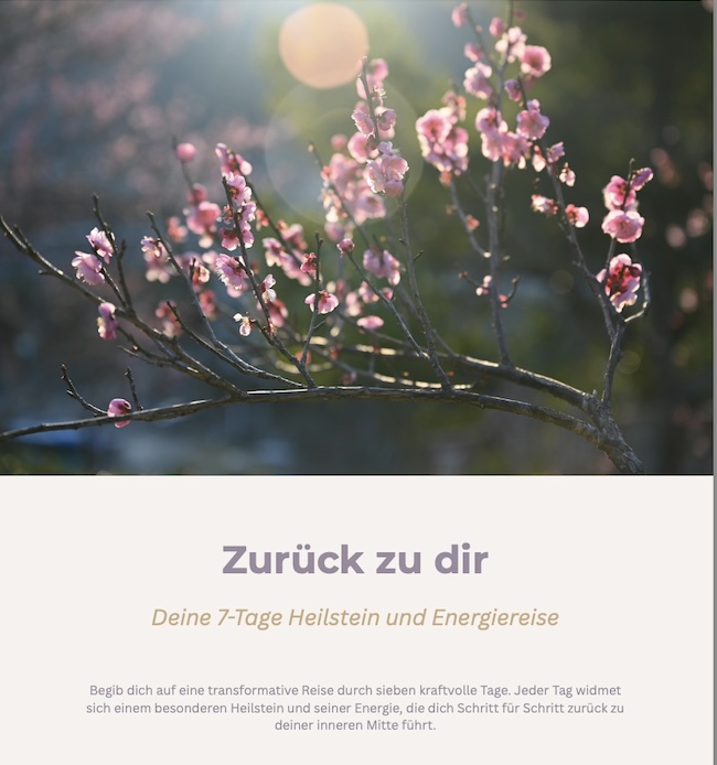 zuruckzudir.jpeg